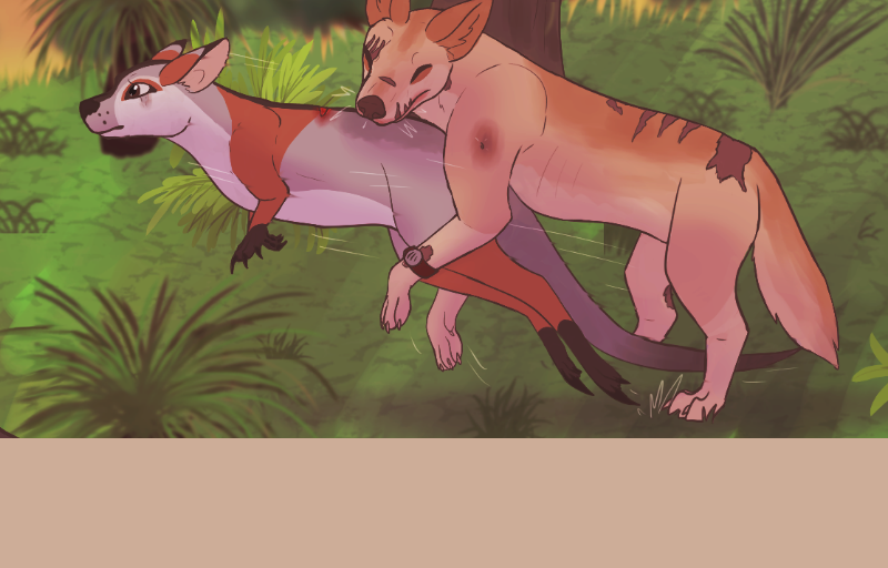 Image 3 Cut